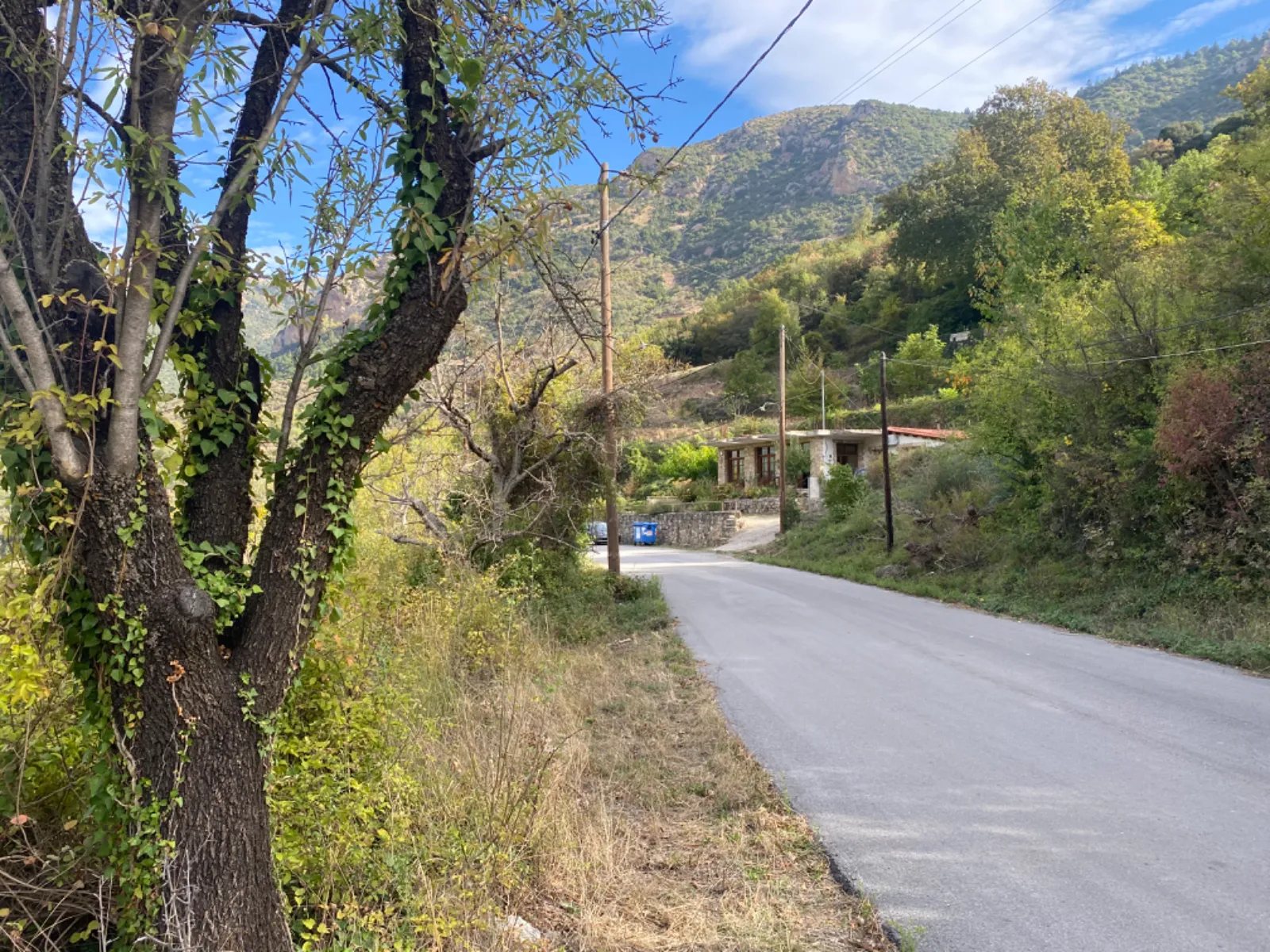 The provincial road with electricity line at the edge of the land
